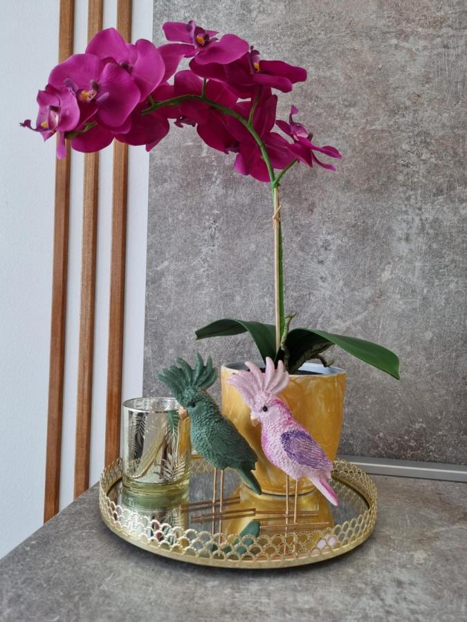 Apartment "50 Shades" With Balcony And Free Parking In The Garage Zadar Extérieur photo